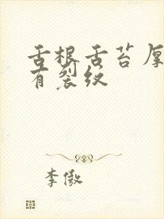 舌根舌苔厚黄腻有裂纹