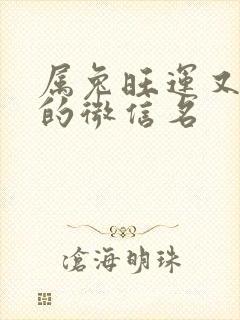 属兔旺运又旺财的微信名