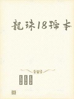 龙珠18号本子