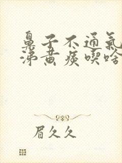 鼻子不通气黄鼻涕黄痰吃啥药