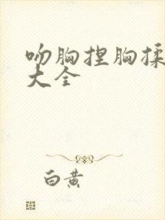 吻胸捏胸揉视频大全