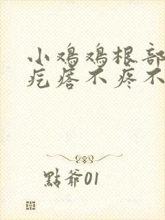 小鸡鸡根部有小疙瘩不疼不痒