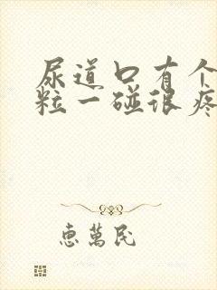 尿道口有个小肉粒一碰很疼