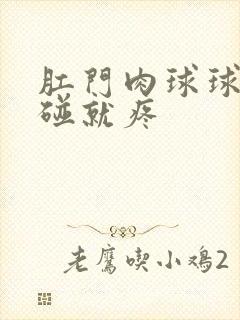 肛门肉球球硬一碰就疼