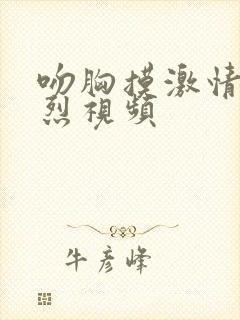 吻胸摸激情床激烈视频