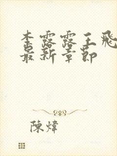 李露露王飞小说最新章节