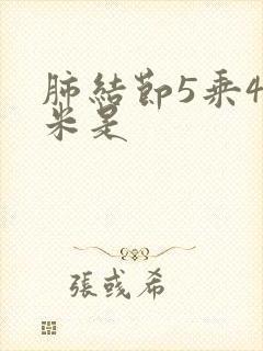 肺结节5乘4毫米是封面