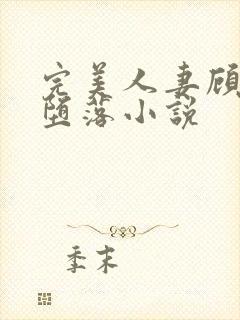 完美人妻顾佳的堕落小说