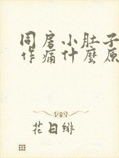 同房小肚子隐隐作痛什么原因封面