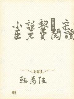 小说黎� 宋轻臣免费阅读