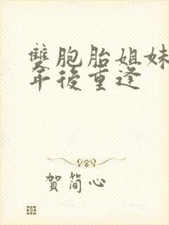 双胞胎姐妹30年后重逢