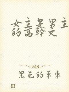 女主是男主情人的高干文