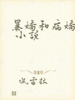 暴娇和病娇互穿 小说