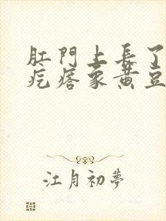 肛门上长了个肉疙瘩象黄豆大小