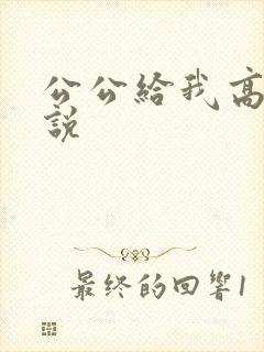 公公给我高潮小说