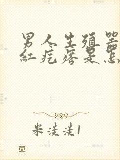 男人生殖器起小红疙瘩是怎么回事