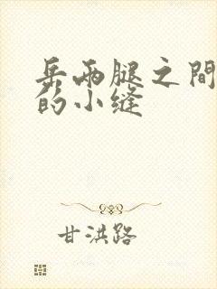 岳两腿之间白嫩的小缝封面