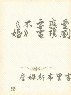 《不要恋爱要结婚》电视剧