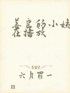 善良的小姨 正在播放