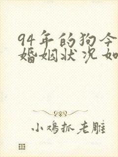 94年的狗今年婚姻状况如何