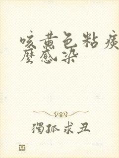 咳黄色粘痰是什么感染