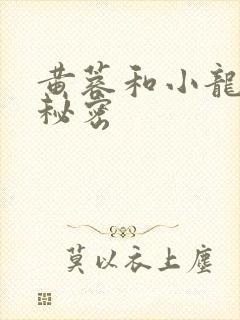 黄蓉和小龙女的秘密封面