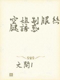 空姐制服丝袜美腿诱惑