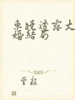 车晓透露大男当婚结局