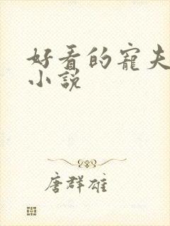 好看的宠夫女尊小说