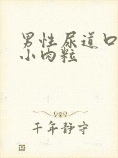 男性尿道口里有小肉粒