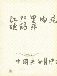 肛门里肉疙瘩硬硬的疼