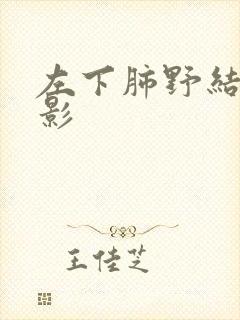 左下肺野结节样影