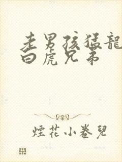 老男孩猛龙过江白虎兄弟