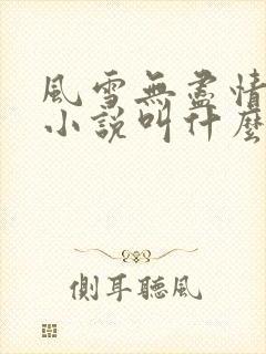 风雪无尽情原著小说叫什么