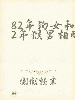 82年狗女和92年猴男相配婚姻如何
