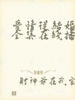 爱情从结婚开始全集在线播放