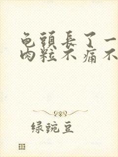 龟头长了一个小肉粒不痛不痒