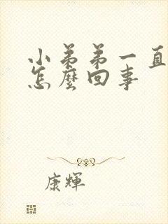 小弟弟一直硬是怎么回事封面