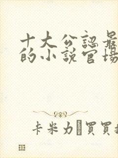 十大公认最好看的小说官场