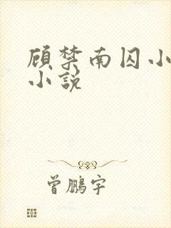 顾禁南囚小说啥小说