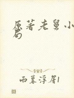 原著老舅小雪结局