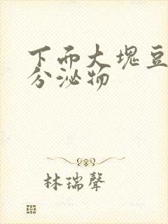 下面大块豆腐渣分泌物