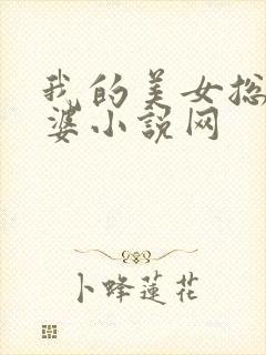我的美女总裁老婆小说网
