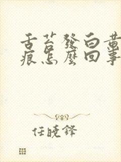 舌苔发白黄有齿痕怎么回事