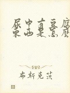 尿中有豆腐渣状东西是怎么回事