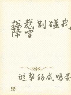 总裁别碰我 韩降雪