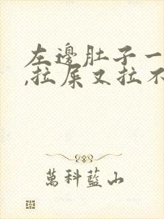 左边肚子一直疼,拉屎又拉不出