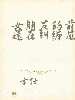 女朋友的前男友还在纠缠应该怎么办封面