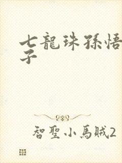 七龙珠孙悟空本子