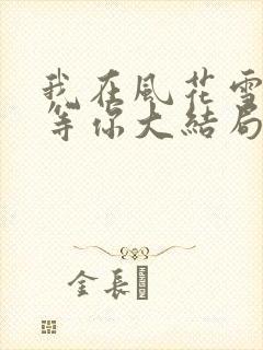我在风花雪月里等你大结局